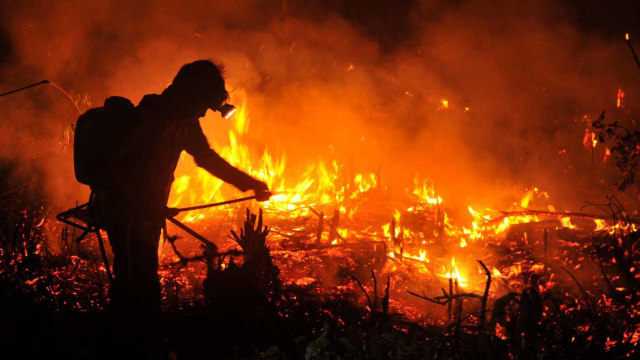 Petugas berupaya memadamkan api yang membakar lahan di daerah perbatasan Sumatera Selatan (Sumsel)-Jambi, Muara Bahar, Bayung Lencir, Musi Banyuasin, Sumsel, Jumat (2/8). Foto: ANTARA FOTO/Wahdi Septiawan