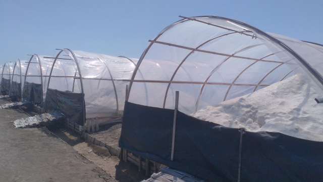 Sentra produksi garam dengan teknologi Prisma di Desa Bungko Lor Kecamatan Kapetakan Kabupaten Cirebon, menjadi salah satu percontohan produksi garam dengan teknologi yang tepat. (Juan)