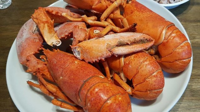 Kondisi lobster setelah dimasak. Foto: MaxPixel