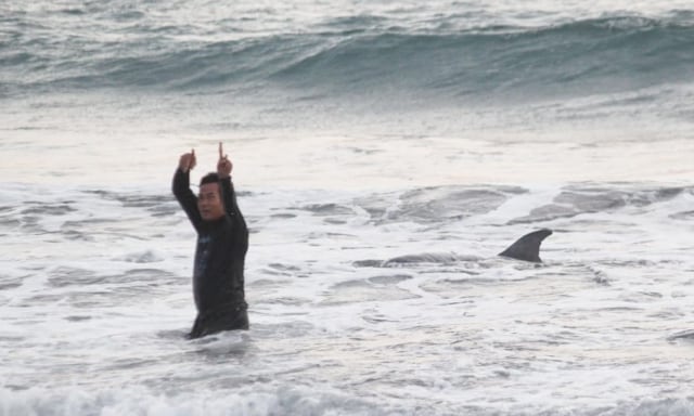 Paus Terdampar di Pantai Biaung, Gianyar Berhasil Diselamatkan (1)