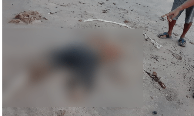 Tulang Manusia Tanpa Tengkorak Ditemukan di Pantai Nusantara, Kepri