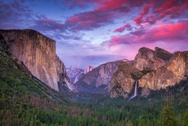 Taman Nasional Yosemite di Amerika Serikat Foto: Shutter Stock