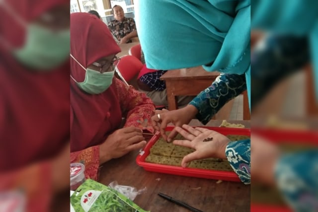 Salah seorang dosen yang memberikan sosialisasi pada warga soal vertiminaponik untuk cegah stunting. Foto: Istimewa.