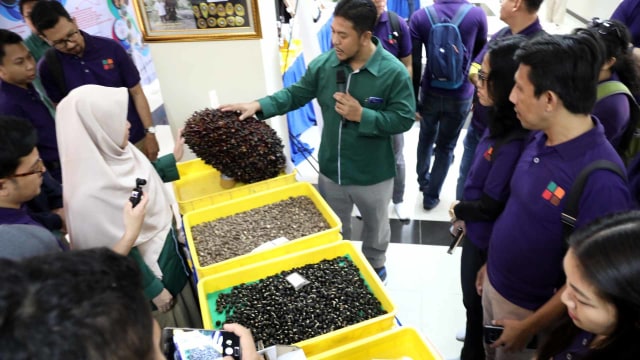 Astra Agro Lestari Bukukan Pendapatan Rp14,44 Triliun Hingga Juni 2025