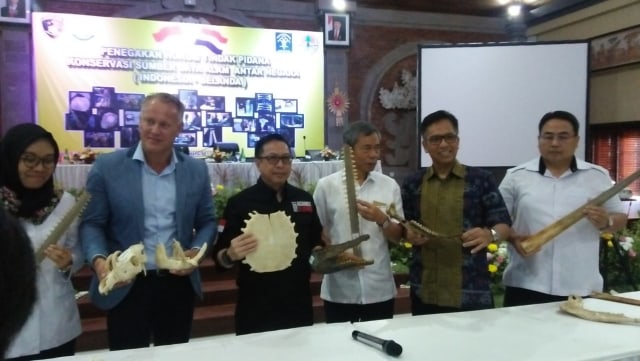 Jumpa pers pengungkapan perdagangan satwa internasional di Polda Bali, Rabu (14/8) -kanalbali/KAD