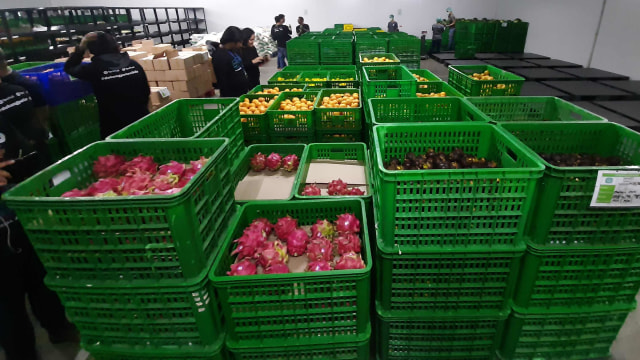 Gudang Penyimpanan dan Pengemasan Hasil Pertanian Petani yang Dikelola TaniGroup di Kawasan Bogor, Jawa Barat. Foto: Nurul Nur Azizah/kumparan