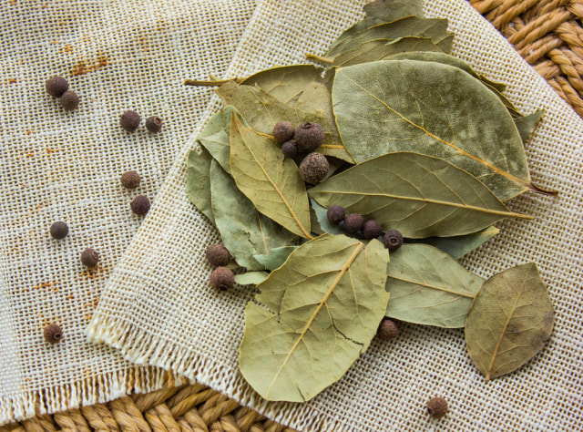 Daun salam Foto: dok.shutterstock