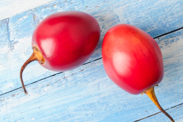 Ilustrasi terong belanda Foto: dok.shutterstock