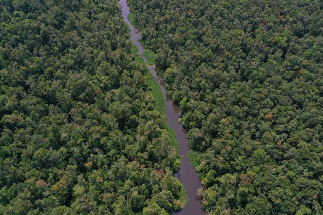 Foto udara sungai Sekonyer di Taman Nasional Tanjung Puting, Pangkalan Bun, Kalimantan Tengah. Foto: Fitra Andrianto/kumparan