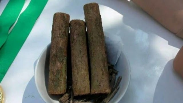 Kayu bajakah yang bisa menyembuhkan kanker payudara hasil penelitian tiga pelajar di SMAN 2 Palangkaraya. Foto: Dok. Istimewa