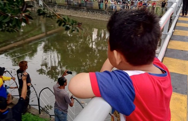 Warga menyaksikan aktivitas buaya di Sungai Singkawang, Jumat (16/8). Foto: Tri Dede