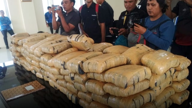 Ganja kering sebagai barang bukti berada di kantor BNNP Sumbar (Foto: Madi/Langkan.id)