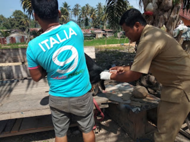 Sumber: Relasiparadigma.com