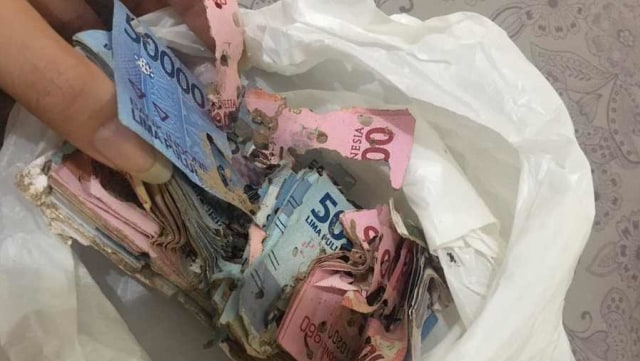 Uang jutaan rupiah yang dimakan rayap. Foto: Twitter/@putribuddin