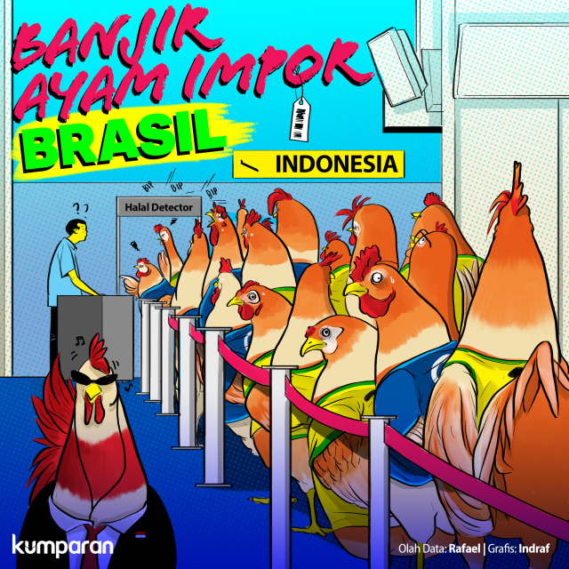 Banjir ayam impor Brasil. Foto: Indra Fauzi/ kumparan.