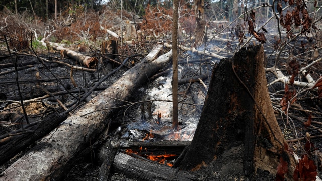 Kebakaran Hutan Amazon di Brasil, Rabu (21/3). Foto: REUTERS/Bruno Kelly