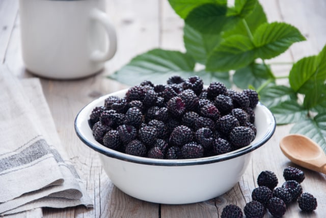 Ilustrasi Black Raspberry Foto: Shutterstock/Letterberry
