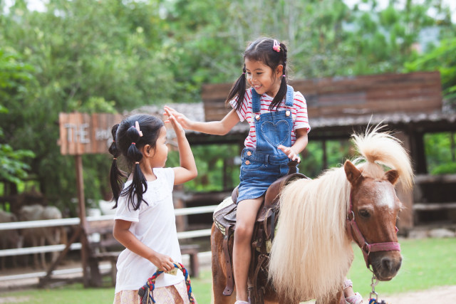 Anak Berkuda Foto: Shutter Stock