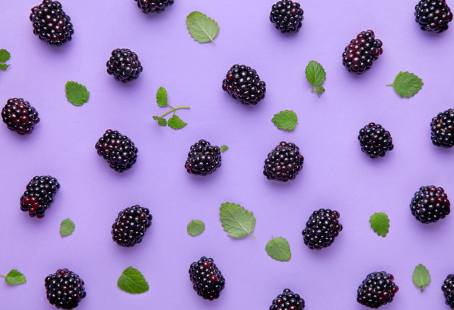 Ilustrasi Blackberry Foto: Shutterstock/Virtu studio