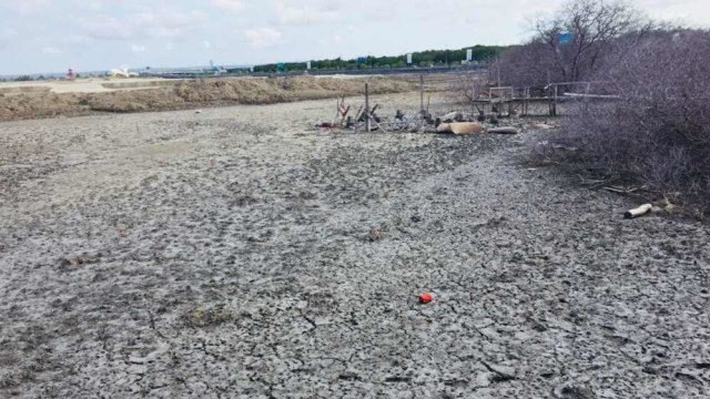 Kawasan dumping II Pelabuhan Benoa. Foto: Denita br Matondang/kumparan
