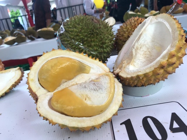 Berbagai durian unggulan ditampilkan pada Festival Durian Bumi Khatulistiwa. Foto: Teri/Hi!Pontianak 