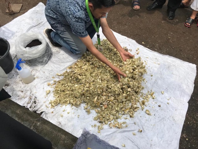 Proses pembuatan pupuk organik dari bahan limbah kulit durian. Foo: Teri/Hi!Pontianakt