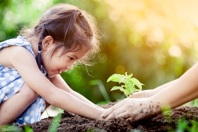 Ilustrasi anak sedang berkebun. Foto: Shutterstock