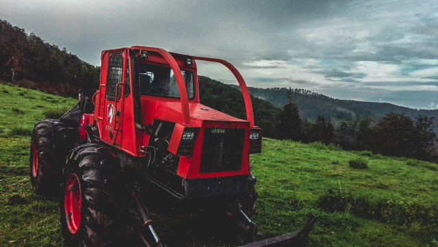 Photo Credit: Pexels