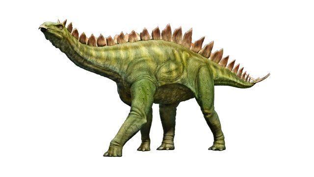 Ilustrasi stegosaurus. Foto: Parker_West/Pixabay
