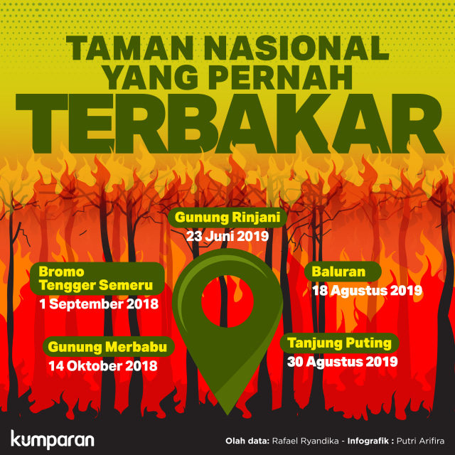 Taman Nasional yang Pernah Terbakar. Foto: Putri Arifira/ kumparan.