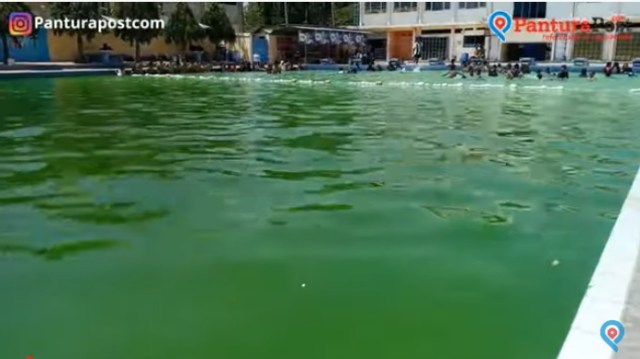 Kolam renang milik Pemkab Brebes hijau dan berlumut. (Foto: Fajar Eko)