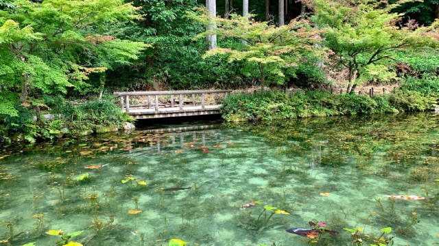 Foto: Kuil Nemichi di Kota Seki Jepang memiliki kolam yang indah
