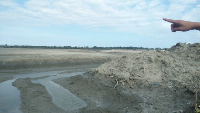 Proyek reklamasi Pelabuhan Benoa yang dilakukan Pelindo III (kanalbali/IST)