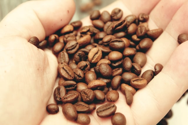 Ilustrasi biji kopi Foto: Shutter Stock