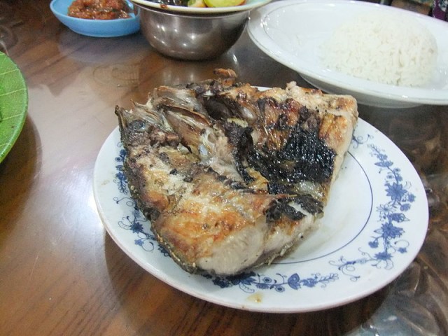 Bolu bakar Foto: Wikimedia commons