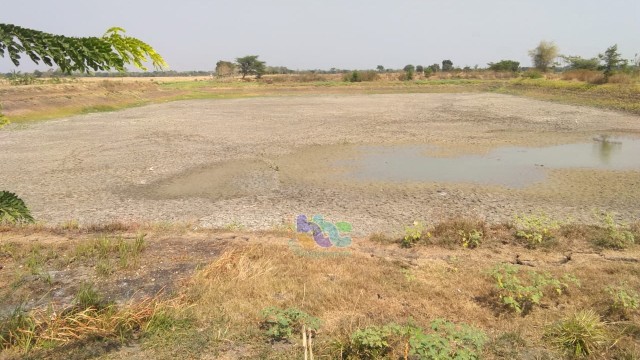 Salah satu embung di Desa Ngumpakdalem Kecamatan Dander Kabupaten Bojonegoro, yang alami kekeringan.