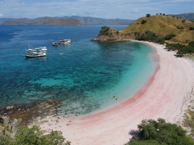 Pink Beach di Lombok Foto: Shutter Stock
