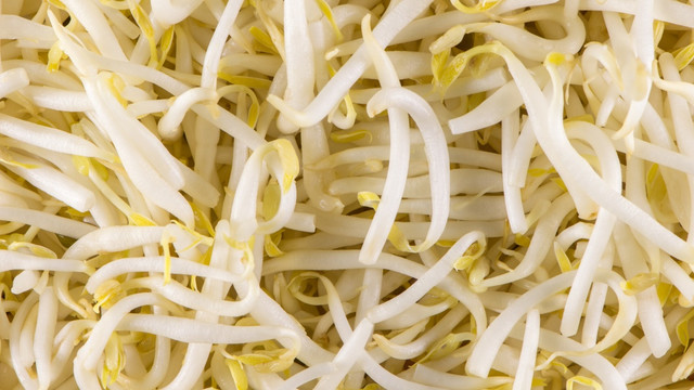 Perhatikan usia si kecil sebelum mengolah taoge jadi makanan bayi Moms! Foto: Shutterstock