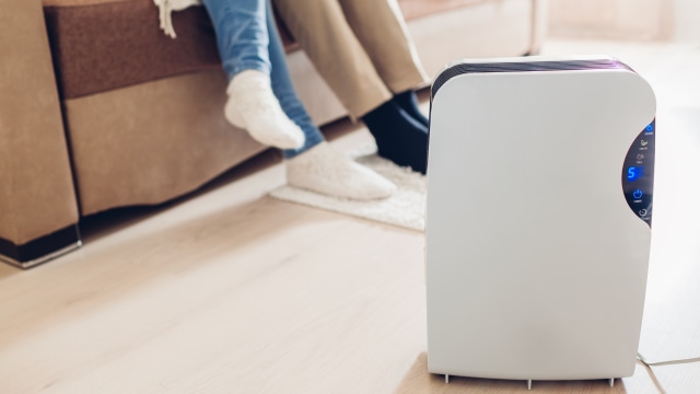 Ilustrasi Air Purifier. Foto: Shutter Stock