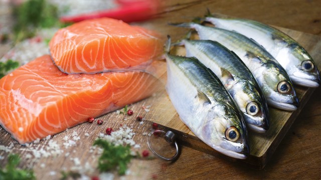 Ilustrasi Ikan Salmon dan Ikan Kembung. Foto: Shutter Stock