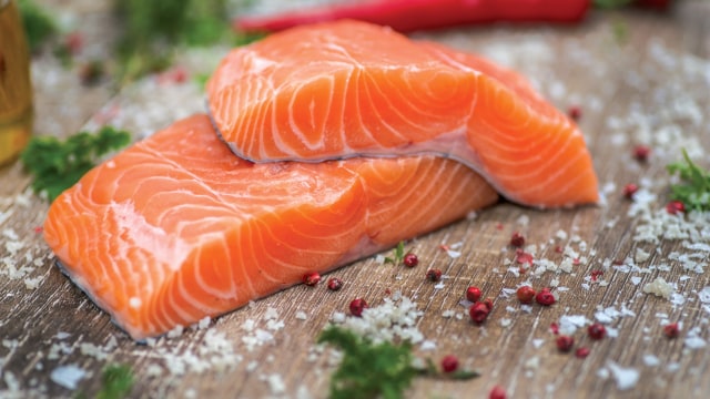 Ilustrasi ikan salmon. Foto: Shutter Stock