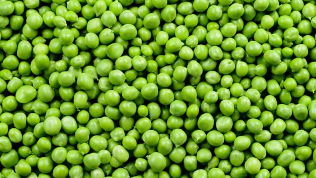 kacang polong Foto: Shutterstock