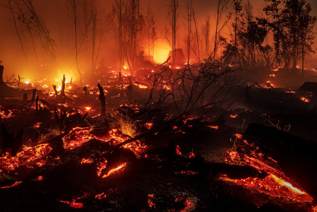 Kebakaran lahan gambut dan hutan di Taman Nasional Sebangau, Palangka Raya, Kalimantan Tengah. Foto: Getty Images/Ulet Ifansasti