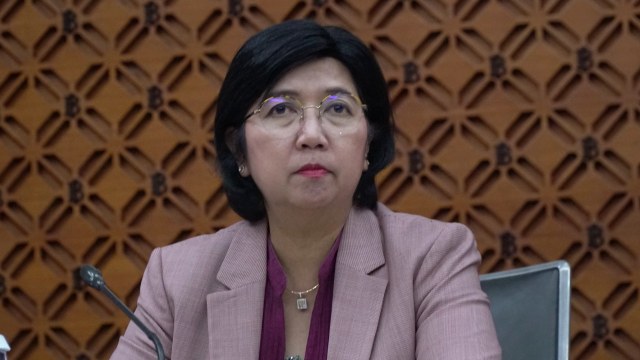 Deputi Gubernur Senior Bank Indonesia, Destry Damayanti. Foto: Jamal Ramadhan/kumparan 