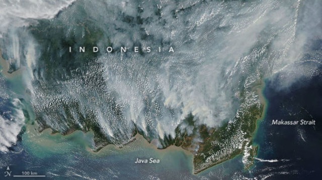 Gambar satelit NASA menangkap parahnya kabut asap di Kalimantan. Foto: MODIS/NASA via NASA Earth Observatory.
