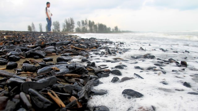 Seorang pengunjung berada di kawasan pantai yang tercemar limbah batu bara di Desa Padang Seurahet, Kecamatan Johan Pahlawan, Aceh Barat. | Foto: ANTARA FOTO/Syifa Yulinnas
