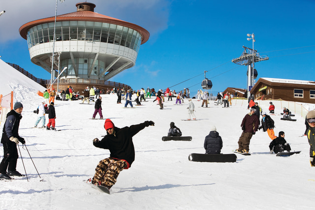 Wisatawan berski di High Resort Jeongseon Foto: Dok. Gangwon Travel Mart