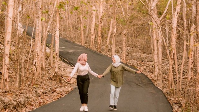 Indahnya Hutan Jati Banyusoco di Playen, Gunungkidul. Foto: Instagram/@anisadheaa