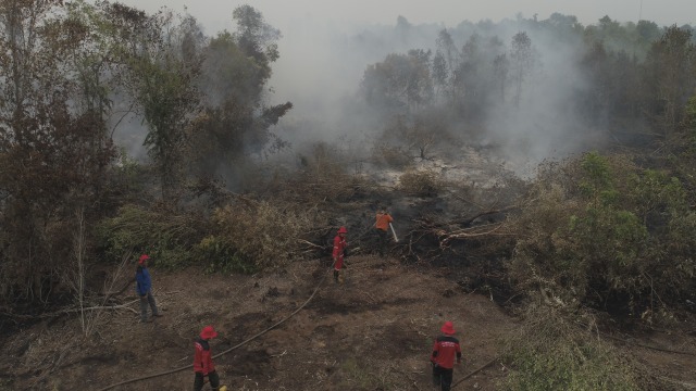 Gambar udara saat petugas berusaha memadamkan kebakaran hutan dan lahan di Riau. Foto: Faiz Zulfikar/kumparan