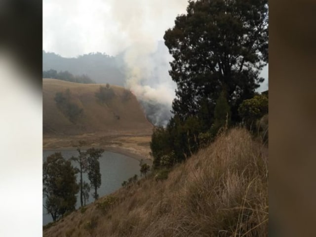 Kebakaran di Ranu Kumbolo. Foto : Saverindo